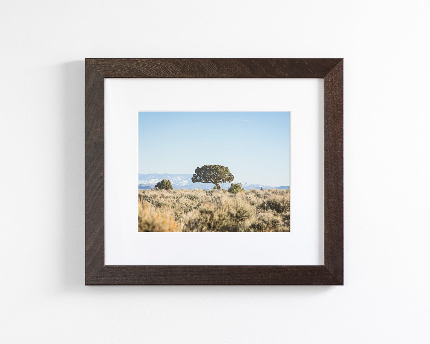 Cedar Landscape