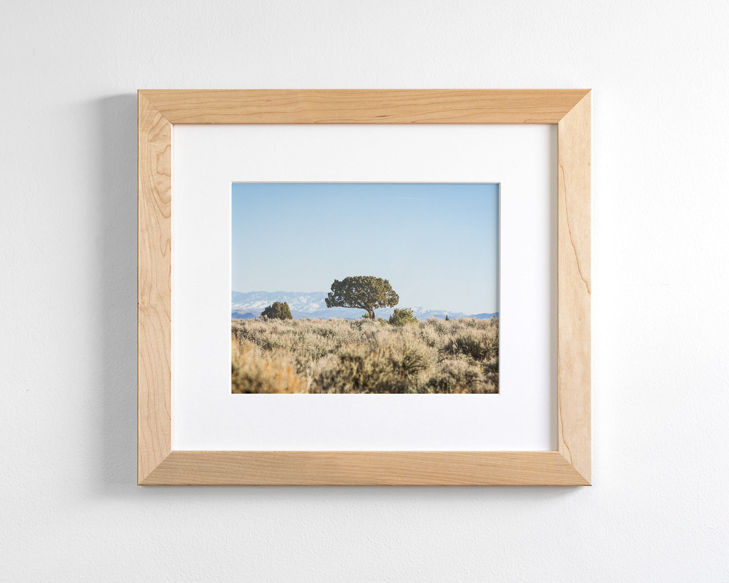 Cedar Landscape