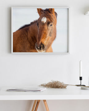 Chestnut Winter Horse