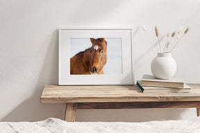 Chestnut Winter Horse