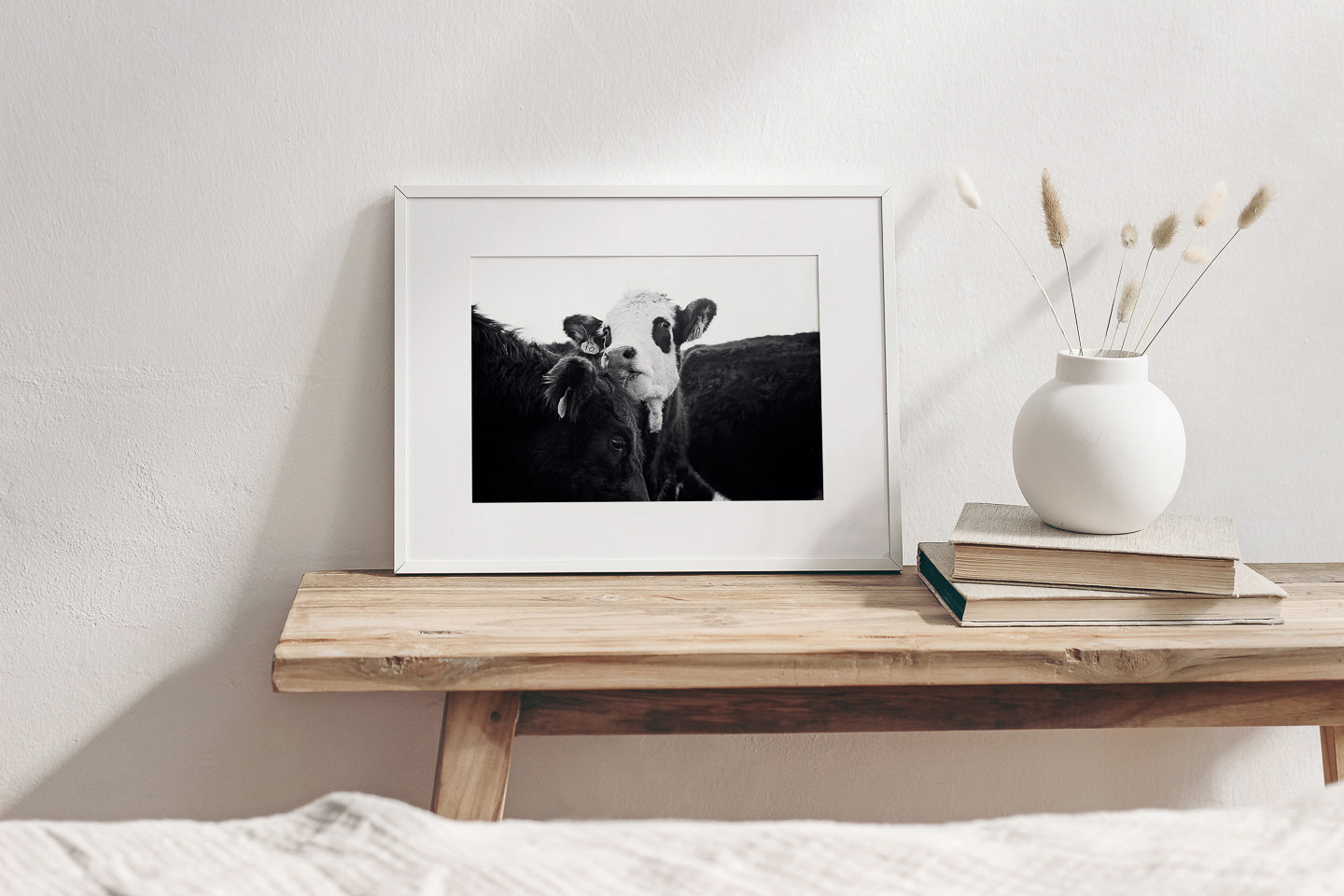 Cow Photography in Black and White