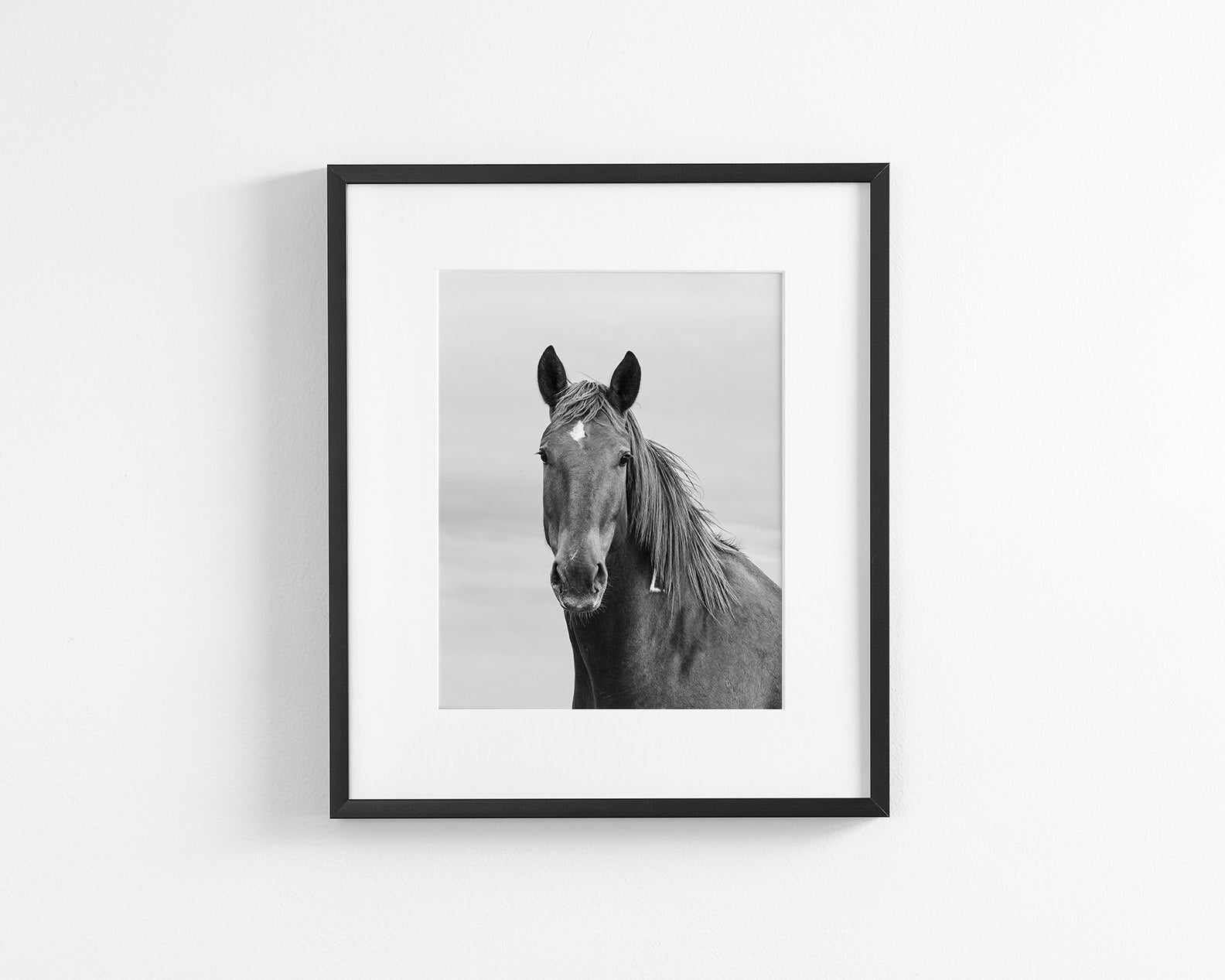 Curious Mare
