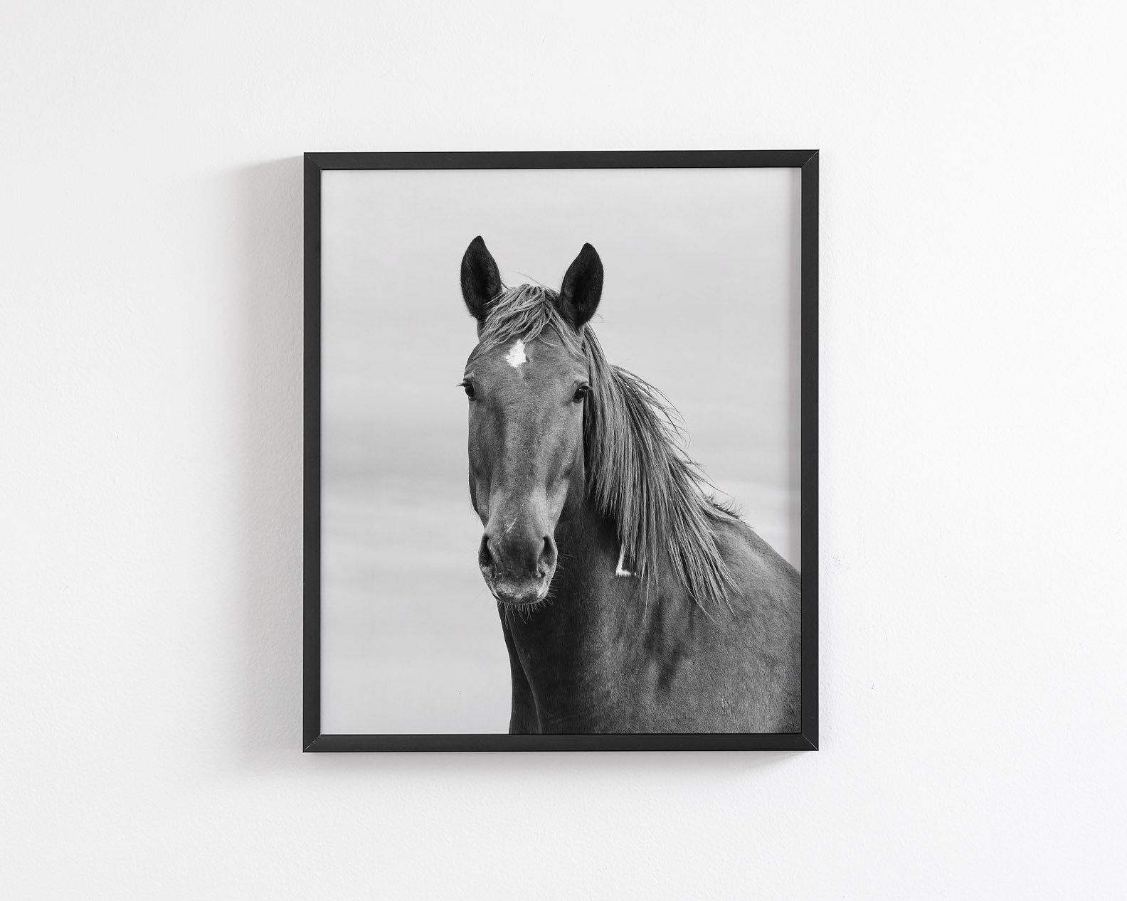 Curious Mare