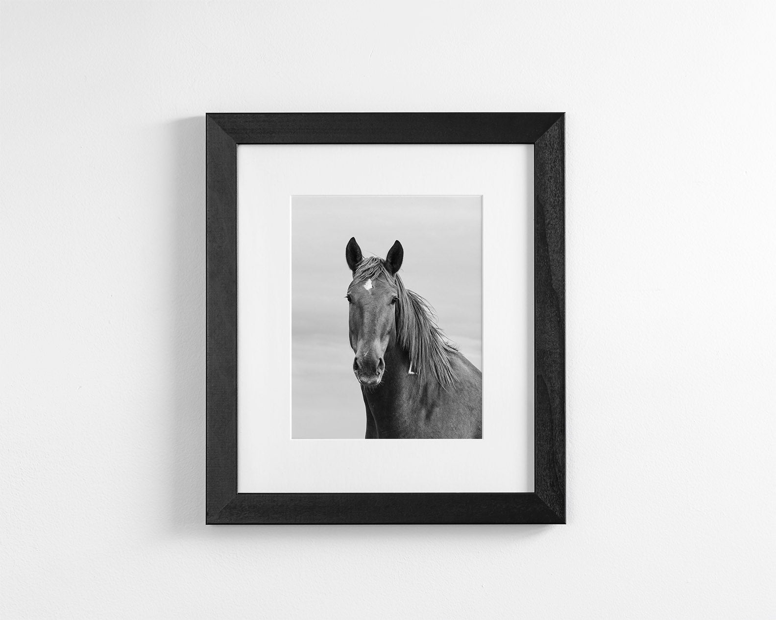 Curious Mare