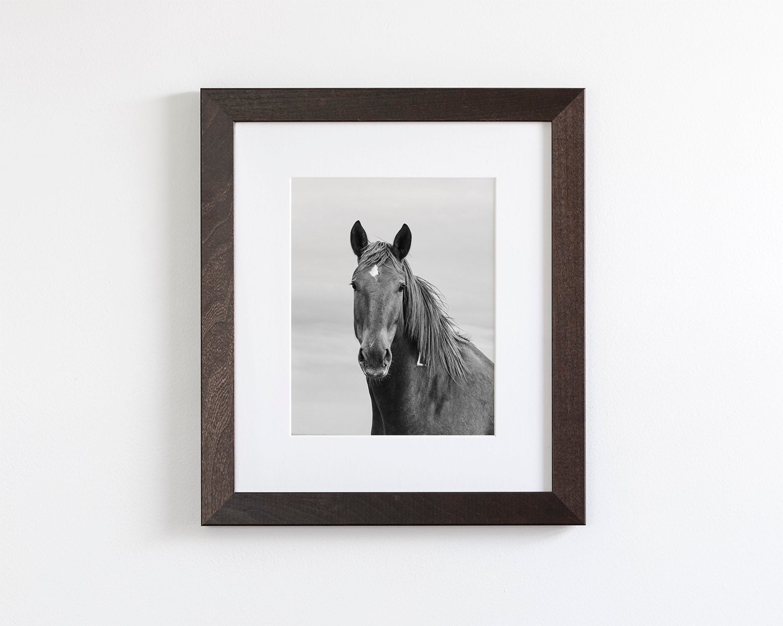 Curious Mare