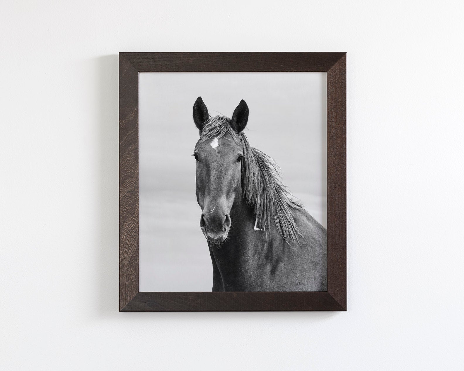 Curious Mare