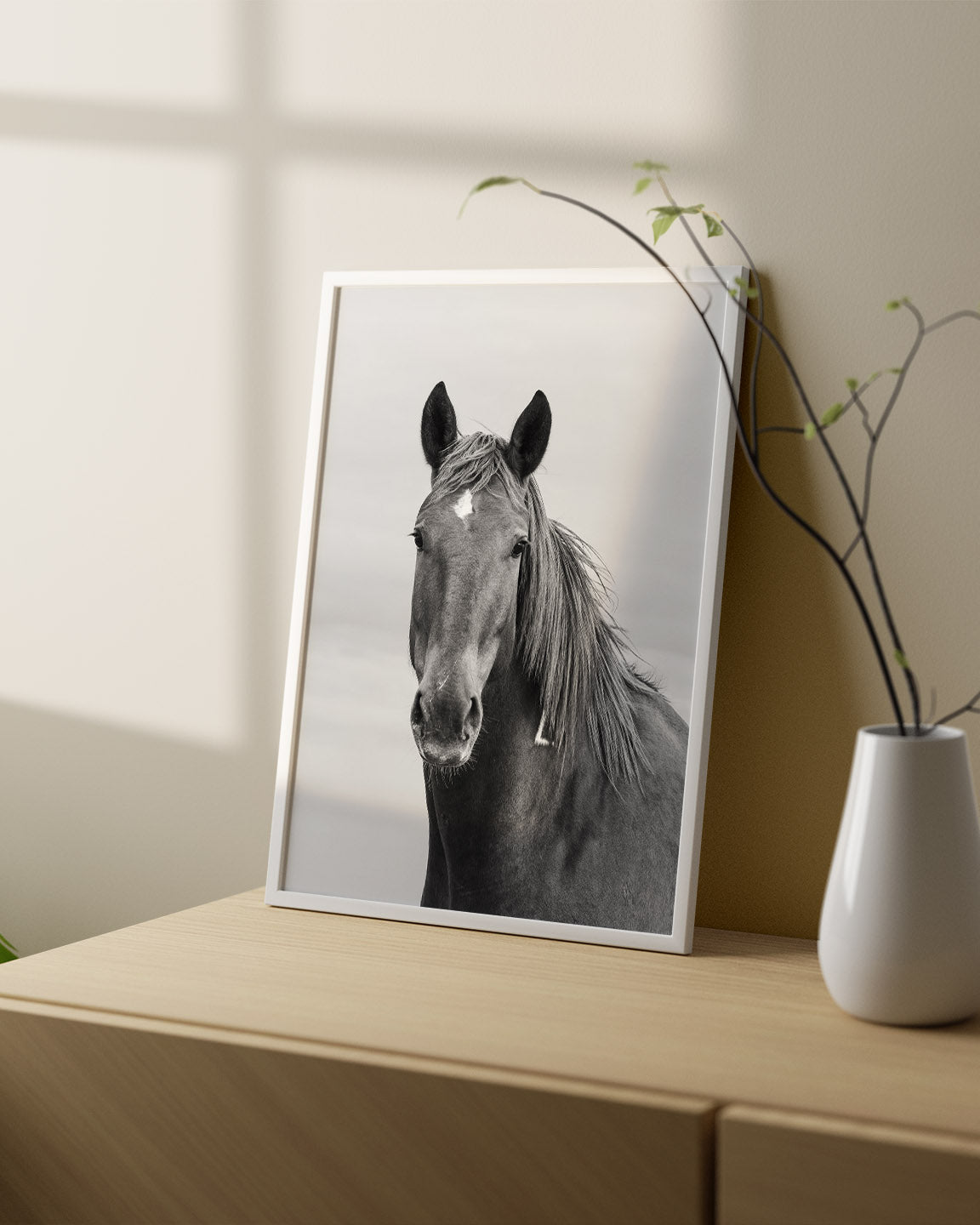 Curious Mare