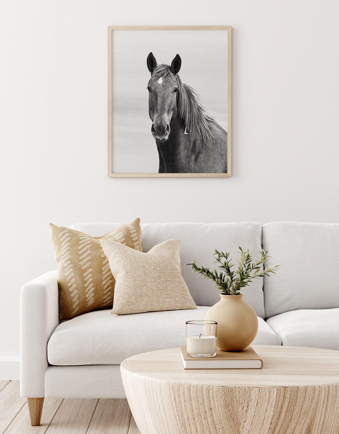 Curious Mare