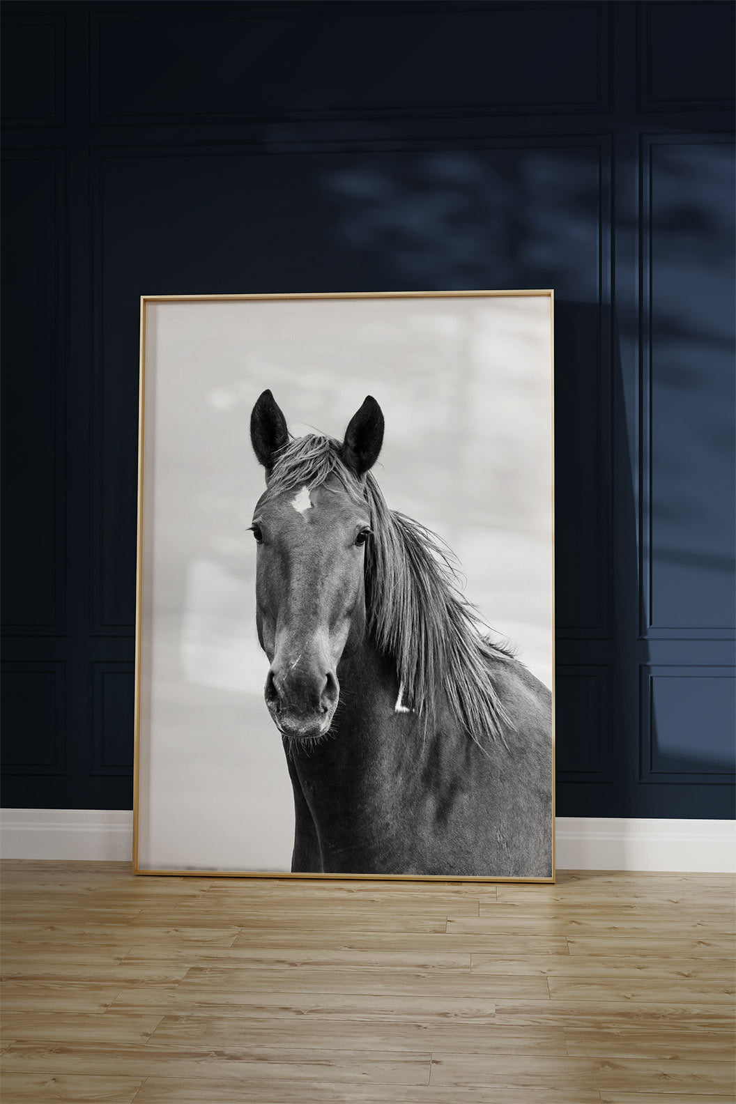 Curious Mare