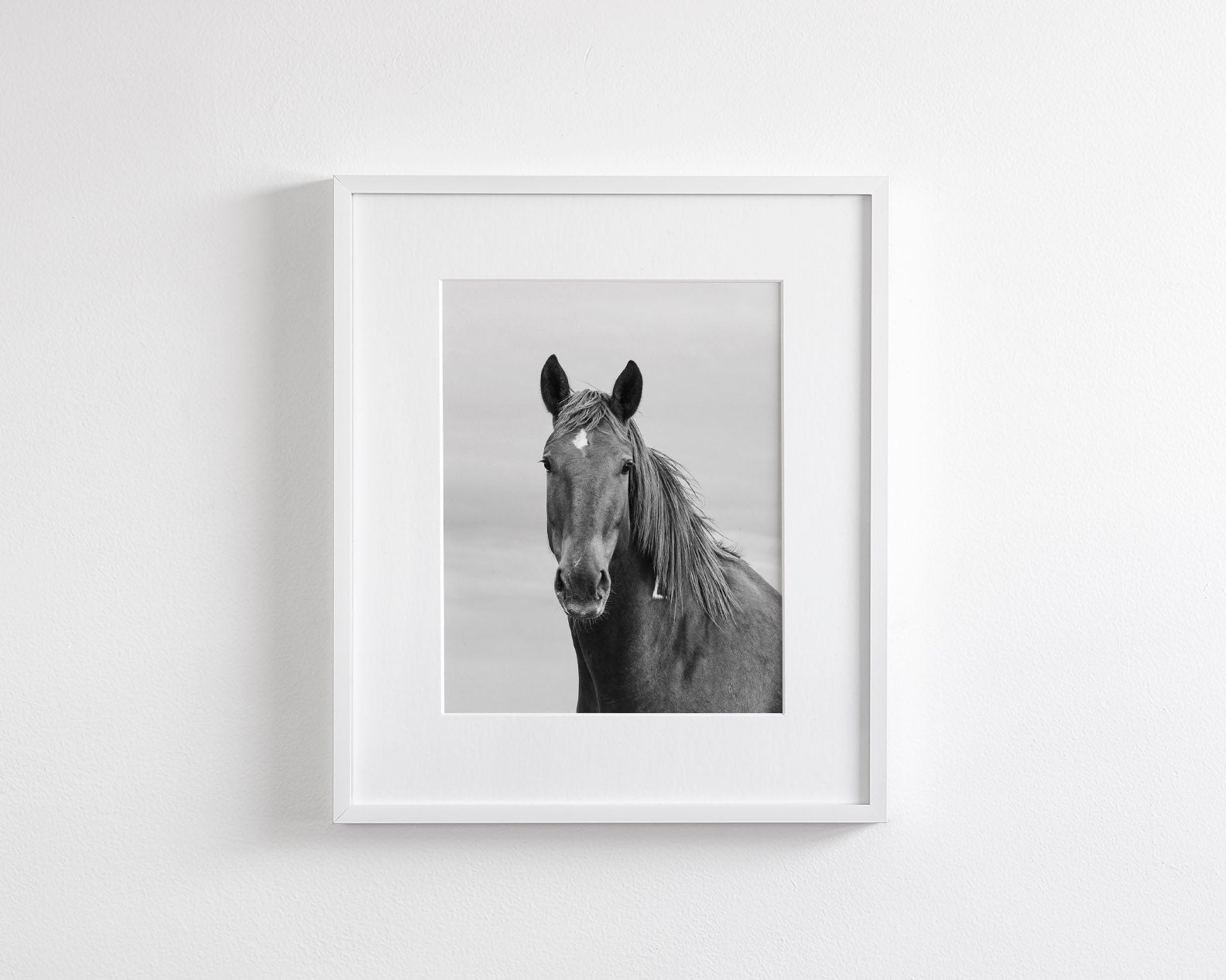 Curious Mare