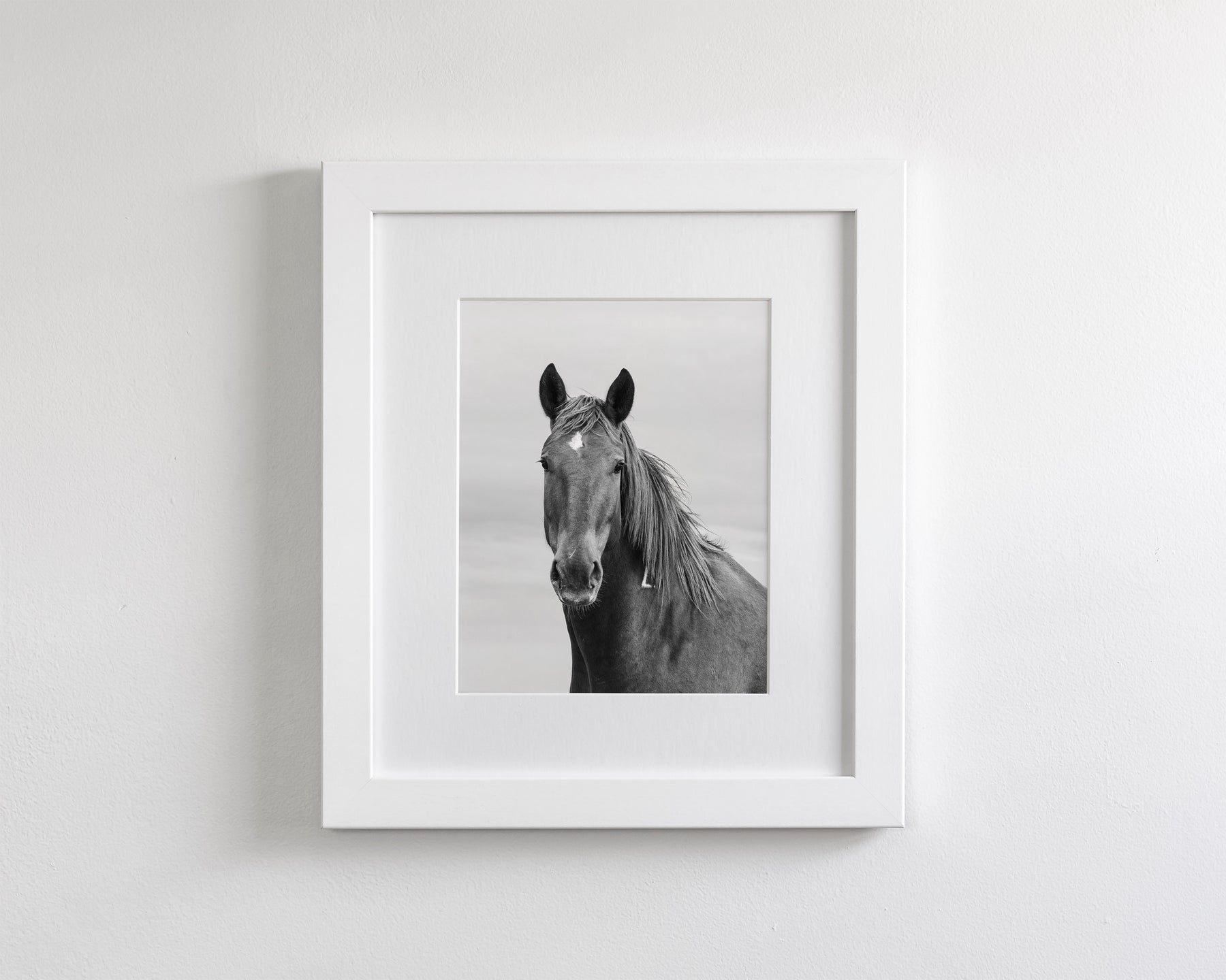 Curious Mare