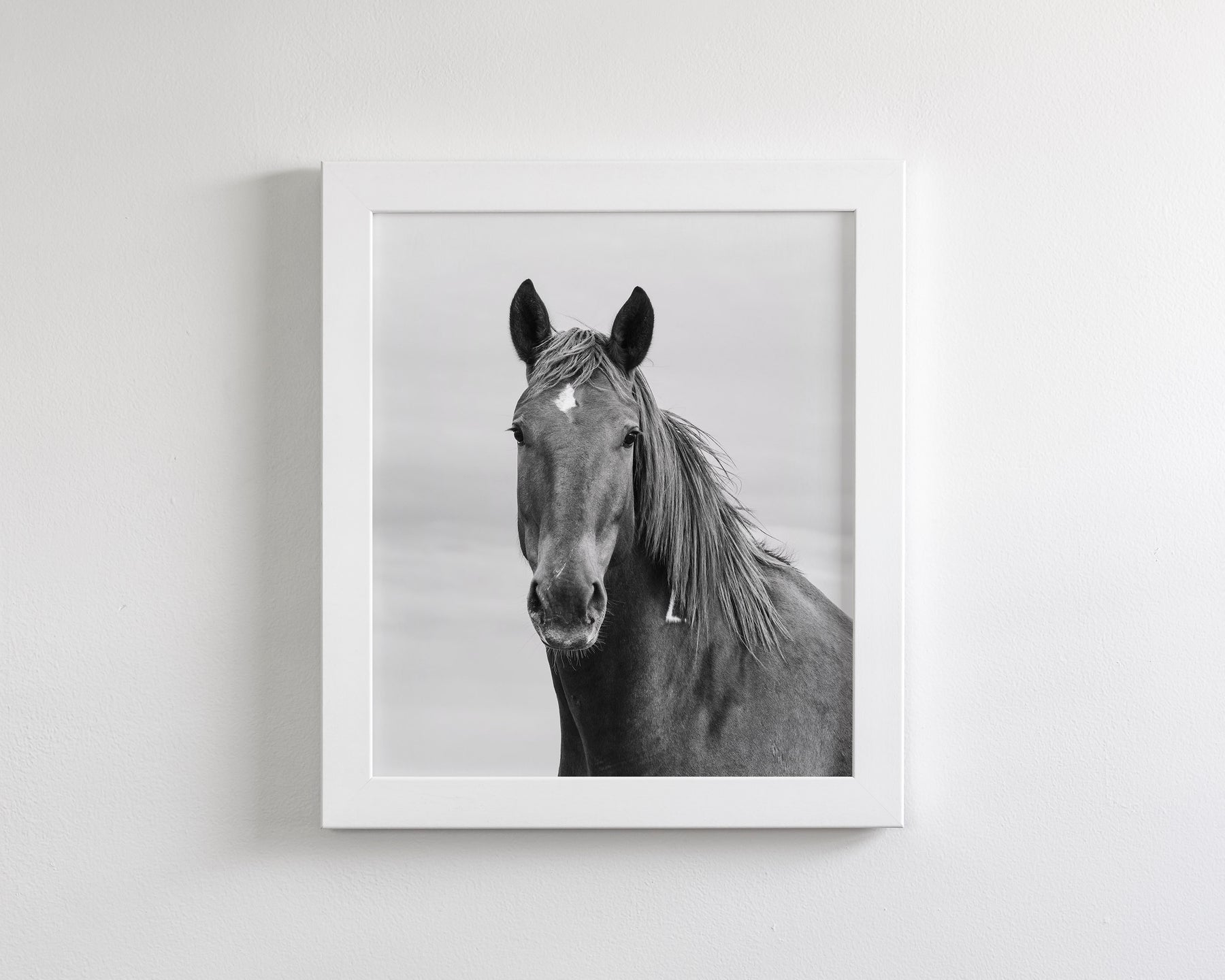Curious Mare