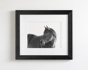 Dark Horse