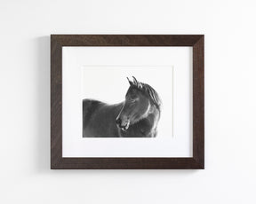 Dark Horse