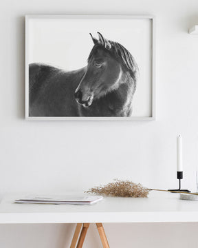 Dark Horse