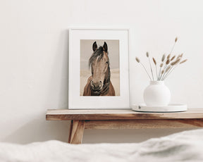 Desert Horse Portrait