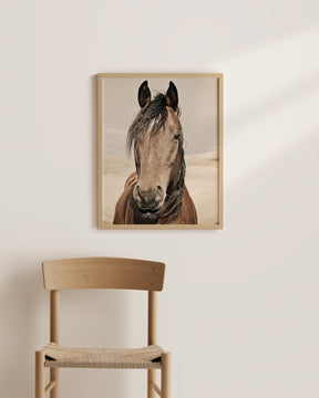 Desert Horse Portrait