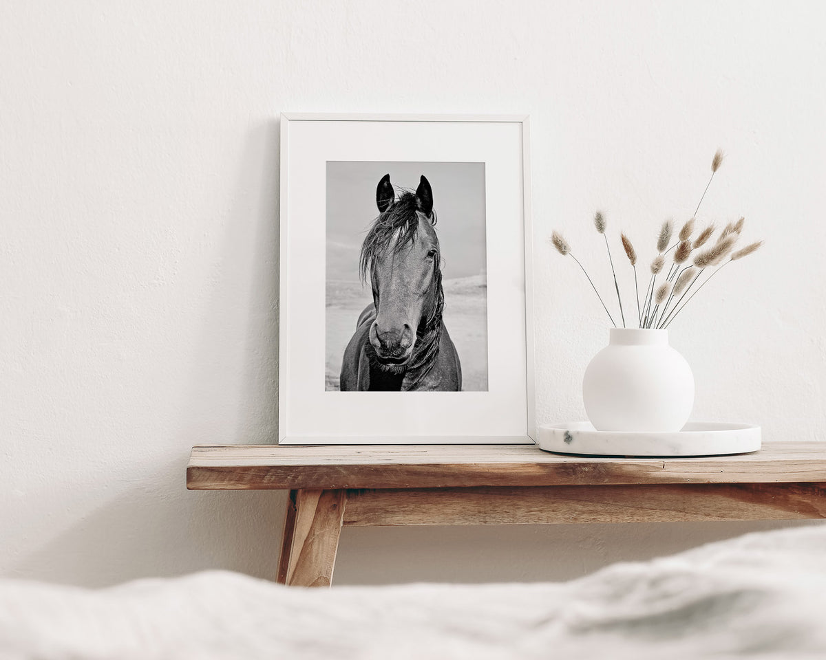 Desert Horse Portrait in Black and White