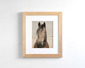 Desert Horse Portrait