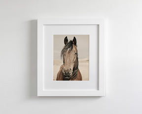 Desert Horse Portrait