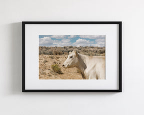 Desert Lady Cow Print