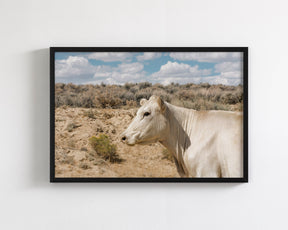 Desert Lady Cow Print