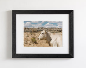 Desert Lady Cow Print