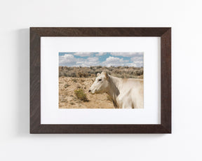 Desert Lady Cow Print