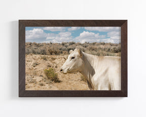 Desert Lady Cow Print