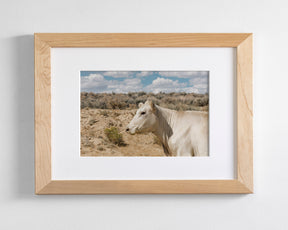 Desert Lady Cow Print