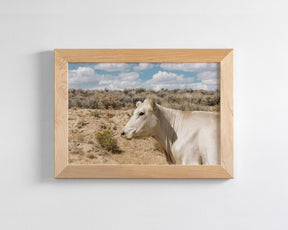 Desert Lady Cow Print