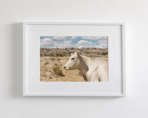 Desert Lady Cow Print