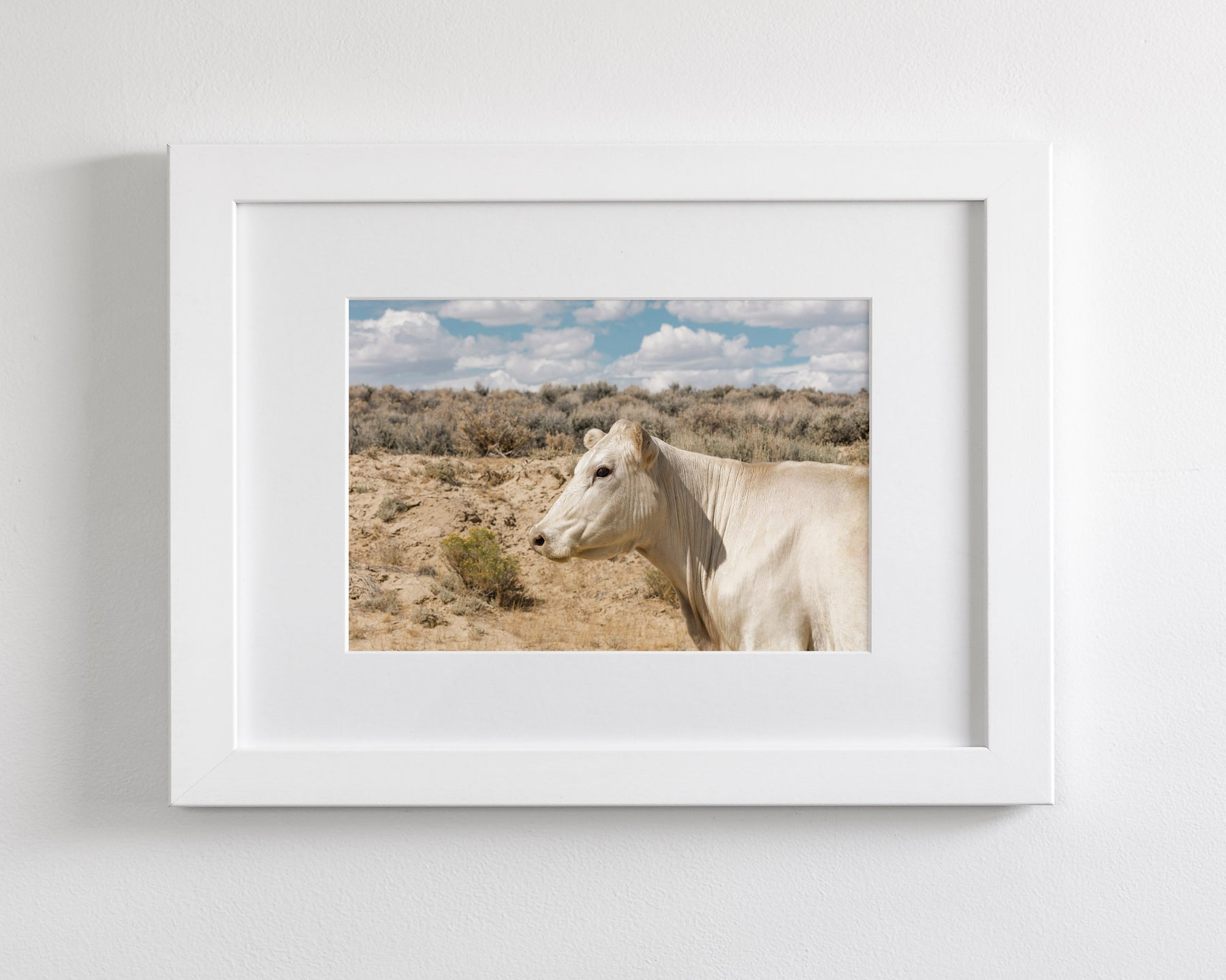 Desert Lady Cow Print