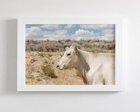 Desert Lady Cow Print