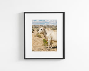 Desert Lady, Vertical