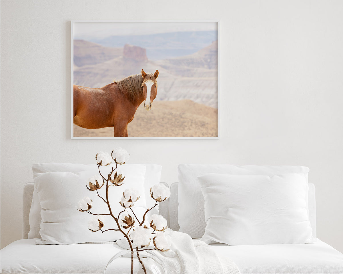 Icon- Wild Desert Horse