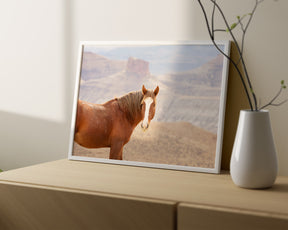Icon- Wild Desert Horse