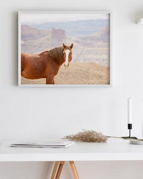 Icon- Wild Desert Horse