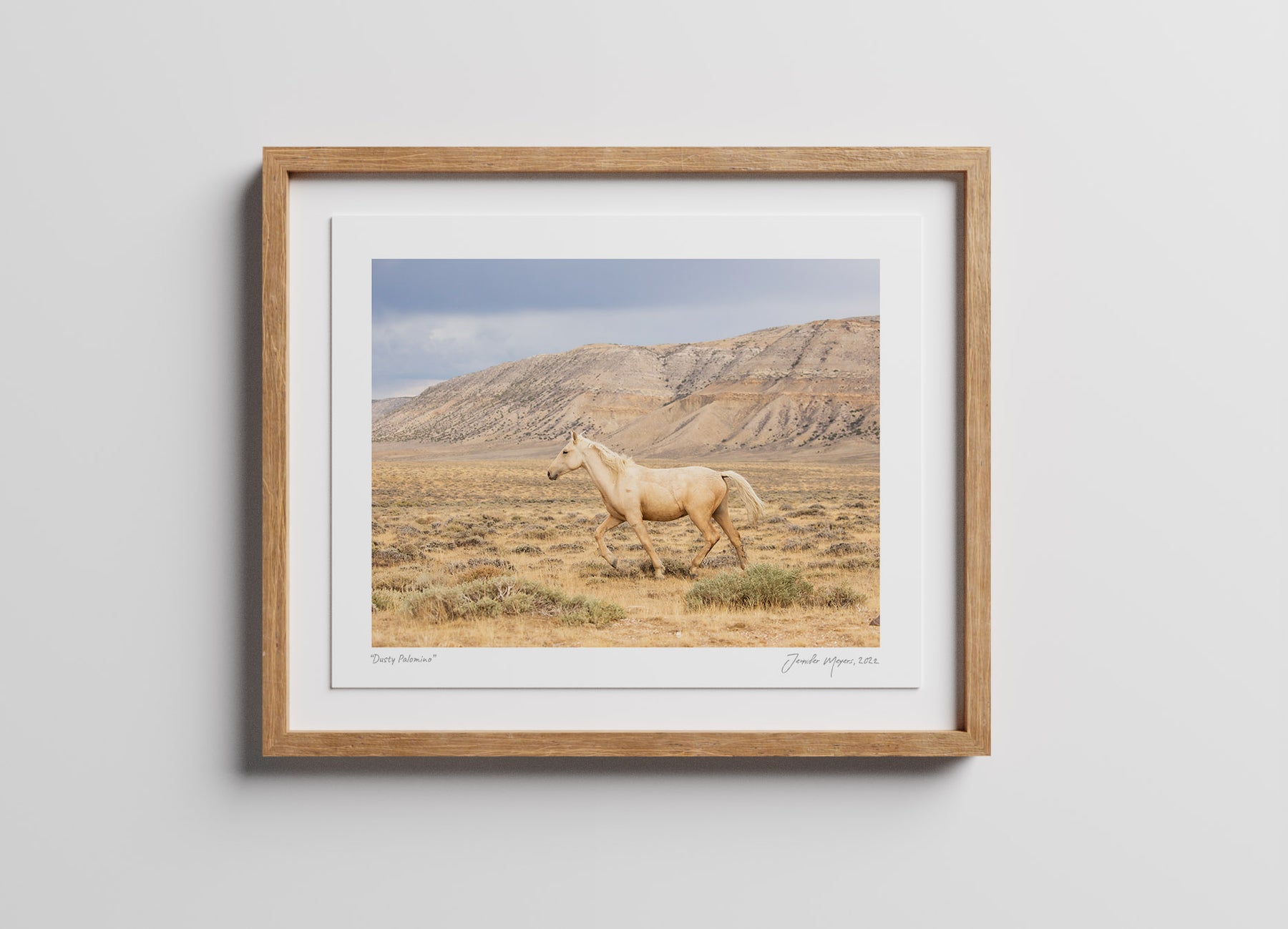 Dusty Palomino