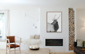 Bull Elk in Black and White