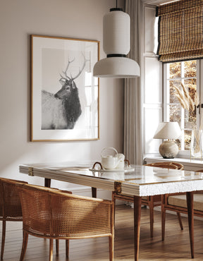 Bull Elk in Black and White