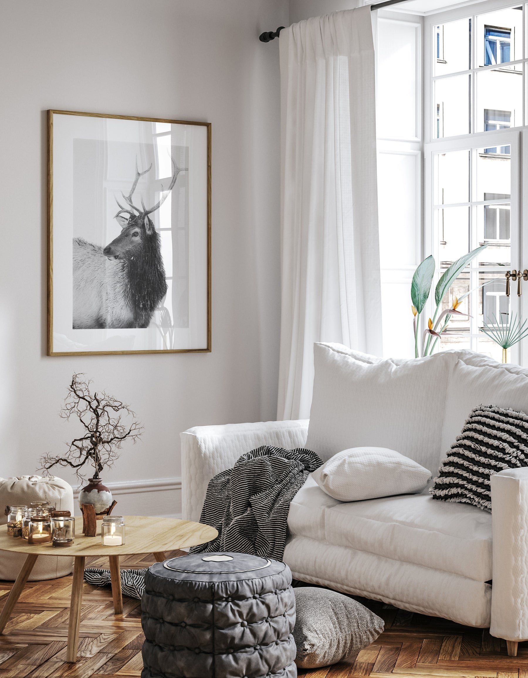 Bull Elk in Black and White