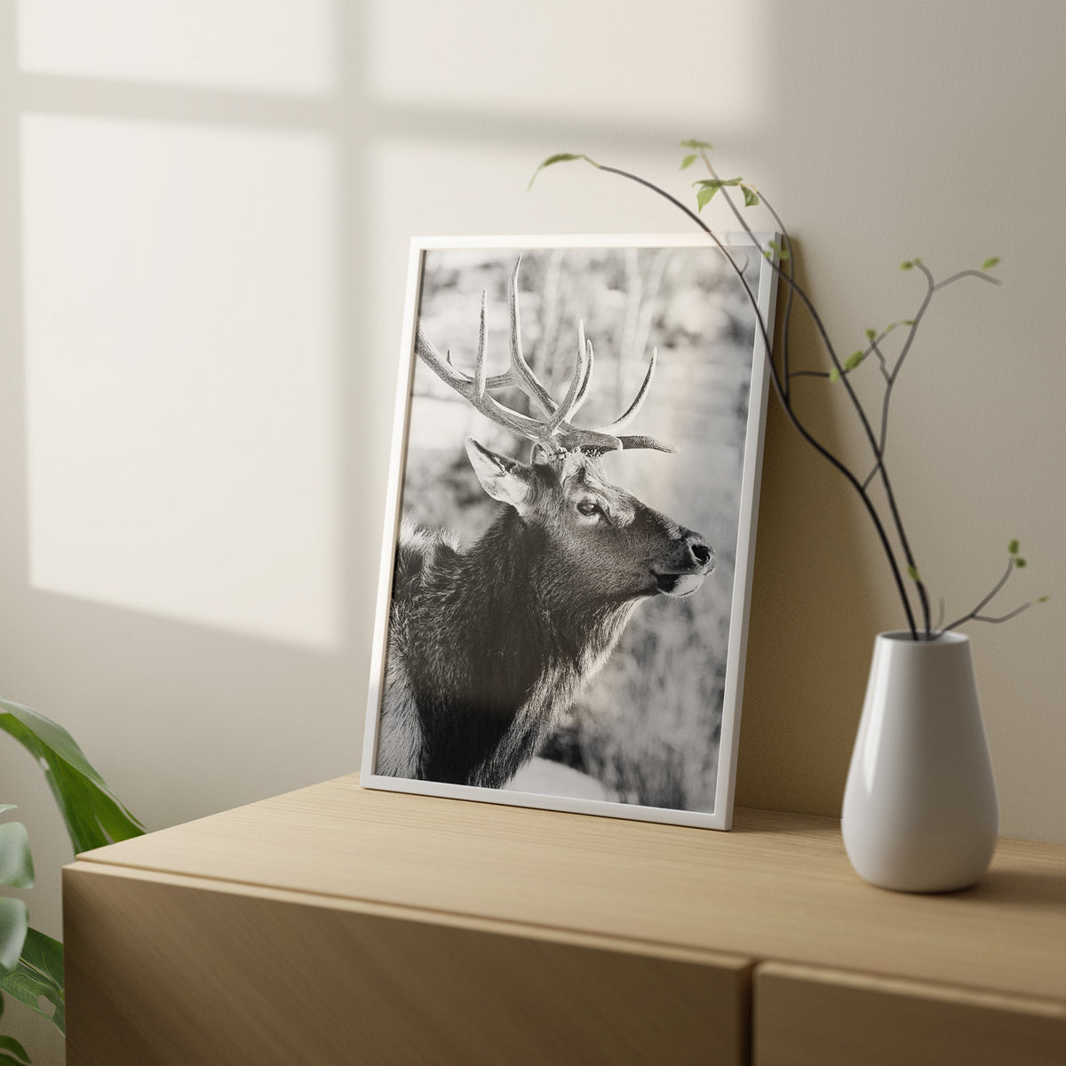 Bull Elk Profile