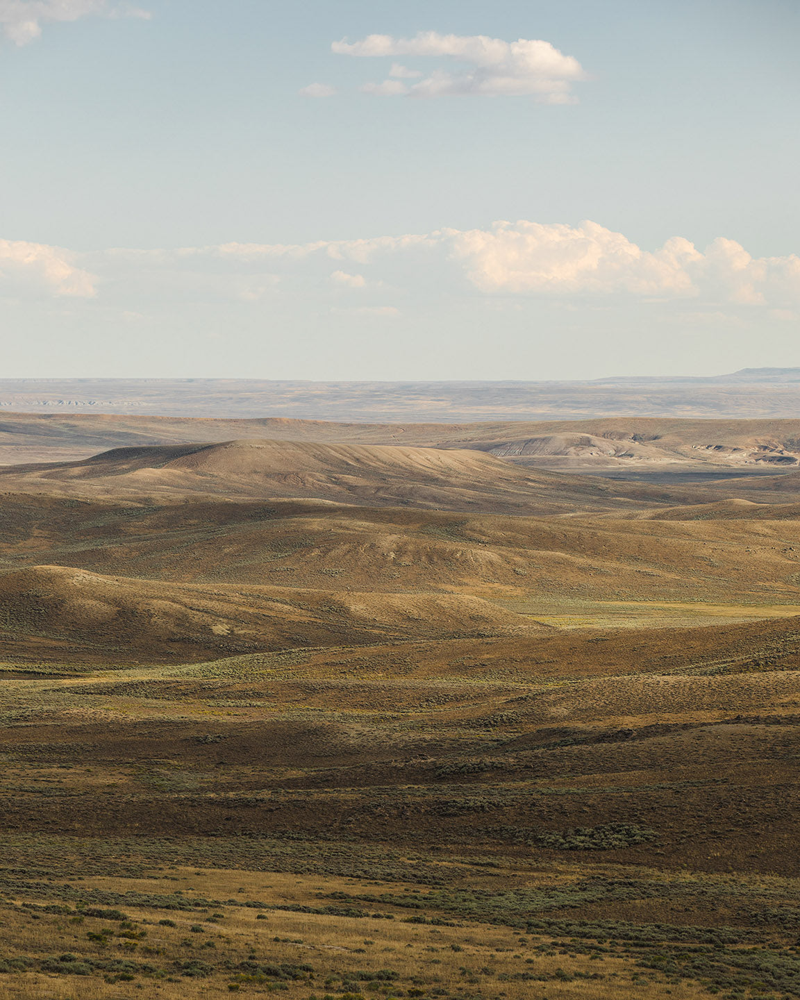 Endlessly Wild, Wyoming Lands