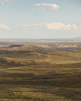 Endlessly Wild, Wyoming Lands
