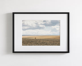 Copy of Expanse, Color