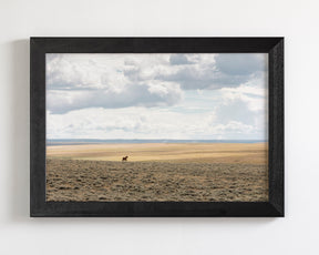 Copy of Expanse, Color