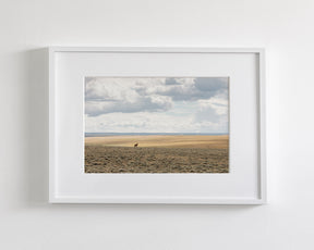 Copy of Expanse, Color