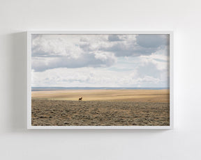 Copy of Expanse, Color