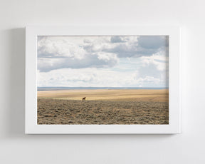 Copy of Expanse, Color